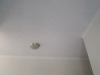 Vermiculite Ceiling Transformation 1